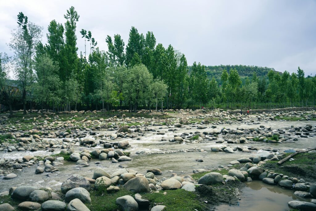 Peaceful river flowing through a lush green valley in Badgam, perfect for nature enthusiasts.